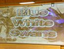 Blue White Swans