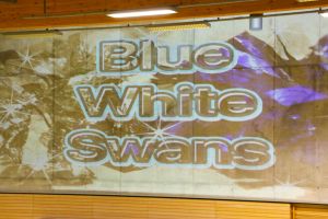 Blue White Swans