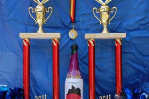 CCVD Deutsche Meisterschaft - 22. Mai 2011_74