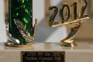 CCVD RM Ost Riesa - 31. M&auml;rz 2012_67