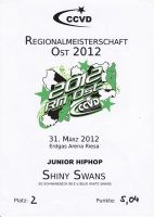 CCVD RM Ost Riesa - 31. M&auml;rz 2012_70