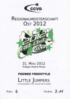 CCVD RM Ost Riesa - 31. M&auml;rz 2012_71