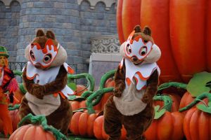 Paris / European Open 2012 - 1.-4. November 2012_142