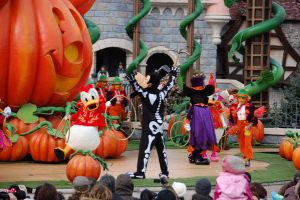 Paris / European Open 2012 - 1.-4. November 2012_147