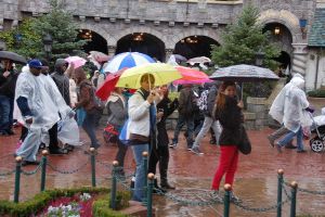 Paris / European Open 2012 - 1.-4. November 2012_92