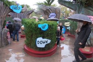 Paris / European Open 2012 - 1.-4. November 2012_94