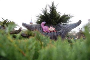 Paris / European Open 2012 - 1.-4. November 2012_95