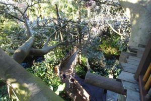 International All Star Championship Orlando/USA - 9. M&auml;rz 2013_52