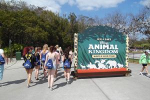 International All Star Championship Orlando/USA - 9. M&auml;rz 2013_80