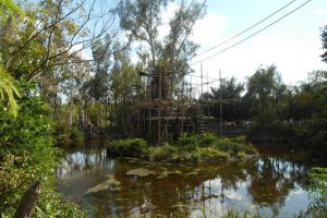 International All Star Championship Orlando/USA - 9. M&auml;rz 2013_85