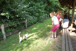 Dance Camp FreshKidz & So Happy / Buckow - 23.-25. August 2013_94