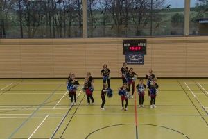 SwansDanceDay 2014_106