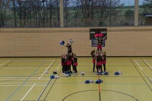 SwansDanceDay 2014_108