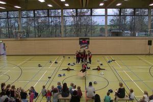 SwansDanceDay 2014_91