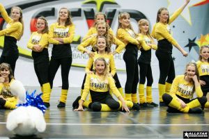 CCVD Regio Ost Riesa 15.03.2014_157