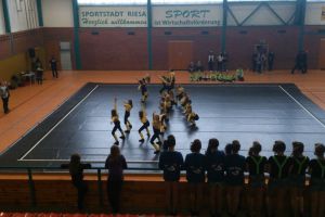 CCVD Regio Ost Riesa 15.03.2014_56