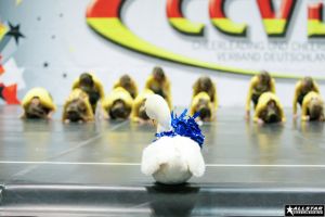 CCVD Regio Ost Riesa 15.03.2014_93