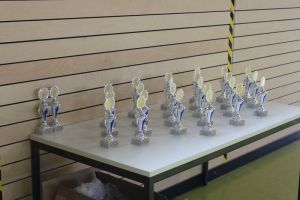 SwansDanceDay 11.07.2015_135