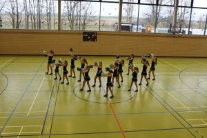 Basketball 15.03.2015_5