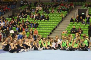 Regionalmeisterschaft Ost Riesa 21.03.2015_11