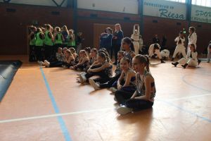 Regionalmeisterschaft Ost Riesa 21.03.2015_175