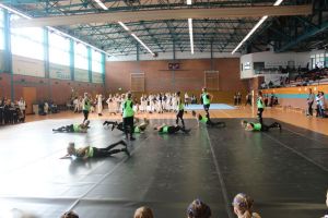 Regionalmeisterschaft Ost Riesa 21.03.2015_187