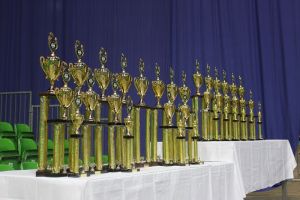 Regionalmeisterschaft Ost Riesa 21.03.2015_221