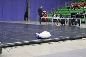 Regionalmeisterschaft Ost Riesa 21.03.2015_230