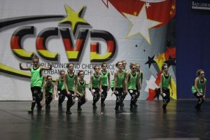 Regionalmeisterschaft Ost Riesa 21.03.2015_232