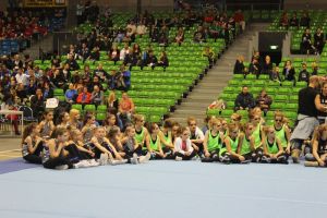 Regionalmeisterschaft Ost Riesa 21.03.2015_9