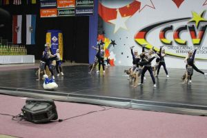 CCVD DM Riesa 17.05.2015_116