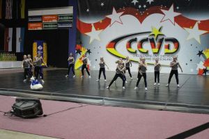 CCVD DM Riesa 17.05.2015_125