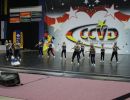 CCVD DM Riesa 17.05.2015_126