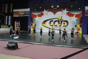 CCVD DM Riesa 17.05.2015_127