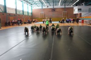 CCVD DM Riesa 17.05.2015_155