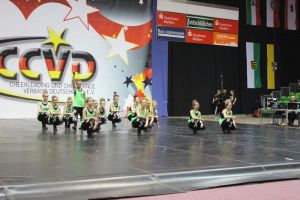 CCVD DM Riesa 17.05.2015_216
