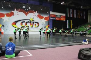 CCVD DM Riesa 17.05.2015_227