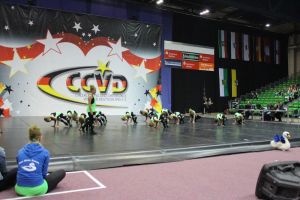 CCVD DM Riesa 17.05.2015_228