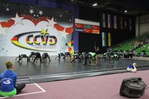 CCVD DM Riesa 17.05.2015_233