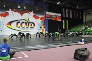 CCVD DM Riesa 17.05.2015_234