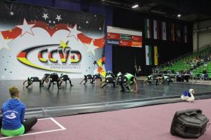 CCVD DM Riesa 17.05.2015_235