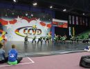 CCVD DM Riesa 17.05.2015_242