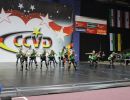 CCVD DM Riesa 17.05.2015_243