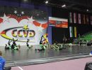 CCVD DM Riesa 17.05.2015_257