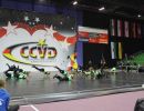 CCVD DM Riesa 17.05.2015_259