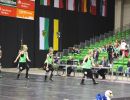 CCVD DM Riesa 17.05.2015_281