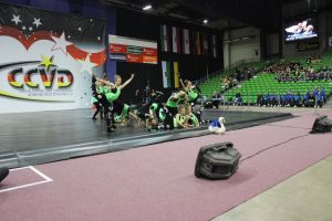 CCVD DM Riesa 17.05.2015_307