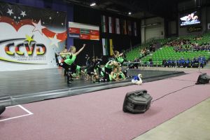 CCVD DM Riesa 17.05.2015_308