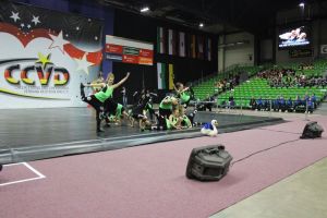 CCVD DM Riesa 17.05.2015_313