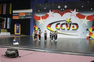 CCVD DM Riesa 17.05.2015_73
